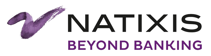 natix_banking_logo